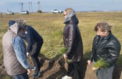 Педагоги присоединились к природоохранной акции “Сохраним лес”.